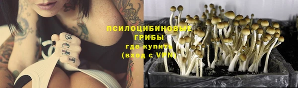 каннабис Алзамай
